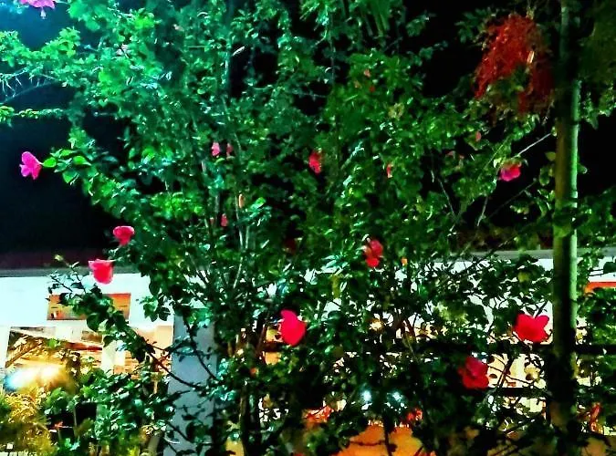 Garden Village 몰볼